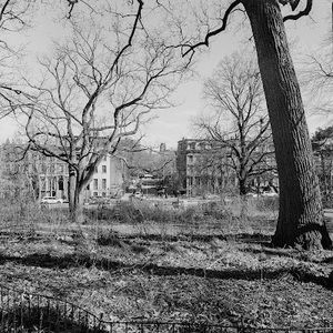 Meet your Posher, Sophia